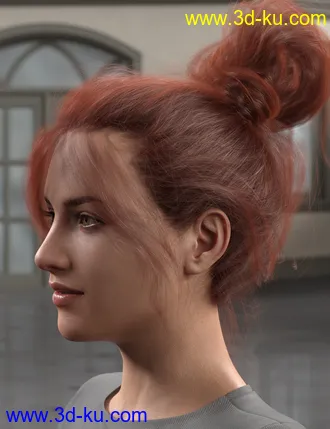3D打印模型Everyday Updo 2 Hair for Genesis 3 and 8的图片