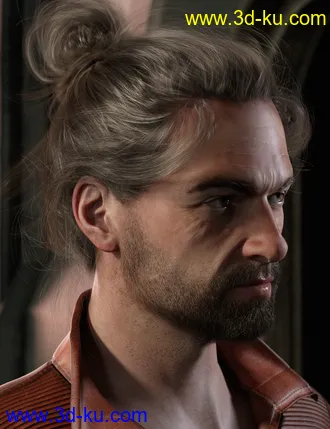 3D打印模型Everyday Updo 2 Hair for Genesis 3 and 8的图片