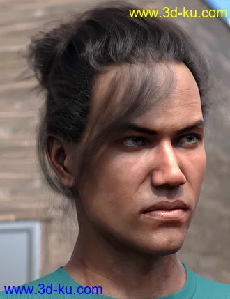 3D打印模型Everyday Updo 2 Hair for Genesis 3 and 8的图片