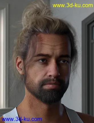 3D打印模型Everyday Updo 2 Hair for Genesis 3 and 8的图片