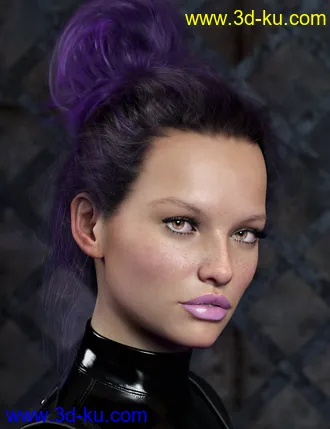 3D打印模型Everyday Updo 2 Hair for Genesis 3 and 8的图片