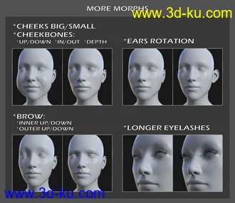 3D打印模型Face Shapes for Genesis 8 Female的图片