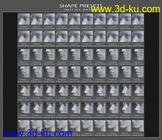 3D打印模型Face Shapes for Genesis 8 Female的图片