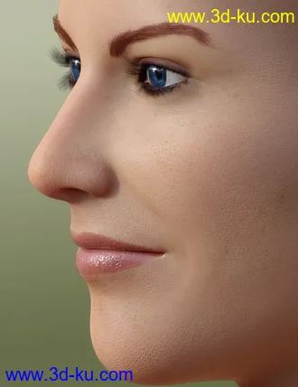 3D打印模型Faces of the World - Northern Europeans for Genesis 8 Female的图片