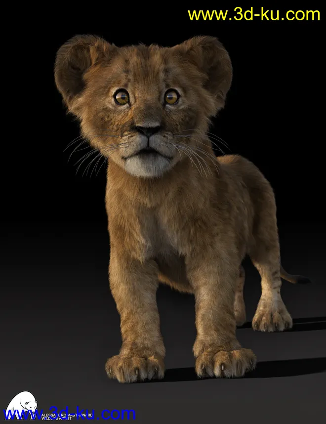 Felidae by AM - Kimbo the Lion Cub模型的图片1