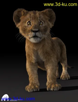 3D打印模型Felidae by AM - Kimbo the Lion Cub的图片