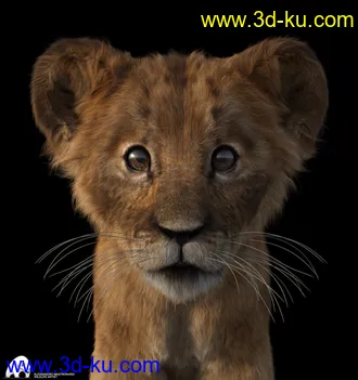 3D打印模型Felidae by AM - Kimbo the Lion Cub的图片