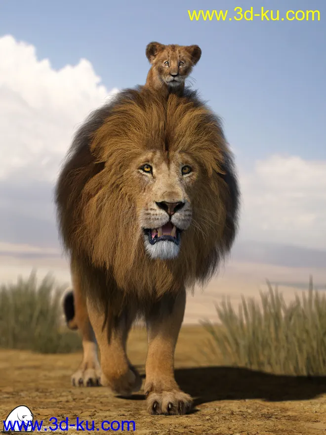 Felidae by AM - Kimbo the Lion Cub模型的图片6