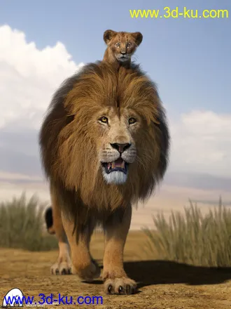 3D打印模型Felidae by AM - Kimbo the Lion Cub的图片