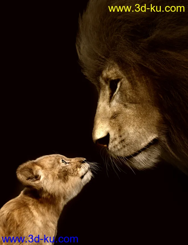 Felidae by AM - Kimbo the Lion Cub模型的图片9