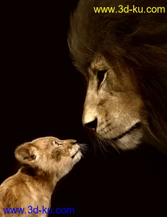 3D打印模型Felidae by AM - Kimbo the Lion Cub的图片