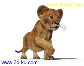 3D打印模型Felidae by AM - Kimbo the Lion Cub的图片