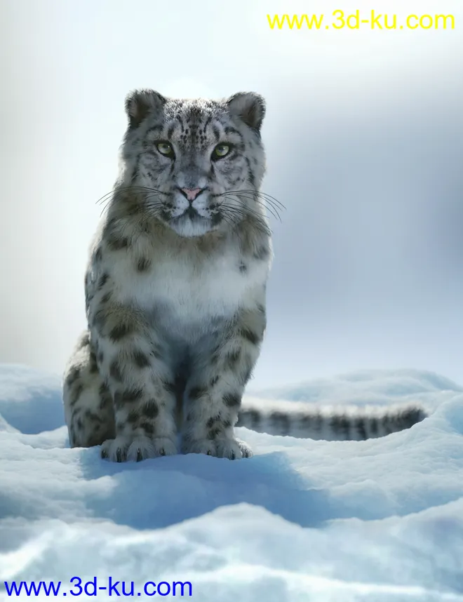 Felidae by AM - Snow Leopard模型的图片1