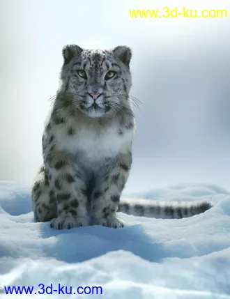 3D打印模型Felidae by AM - Snow Leopard的图片