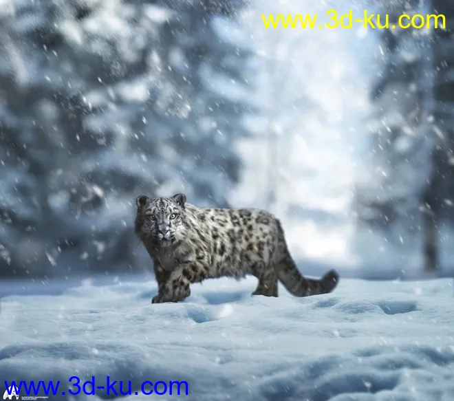 Felidae by AM - Snow Leopard模型的图片2