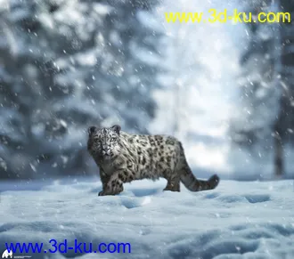 3D打印模型Felidae by AM - Snow Leopard的图片