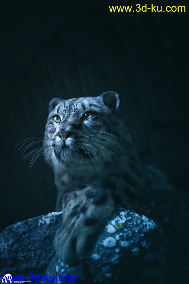 Felidae by AM - Snow Leopard模型的图片3