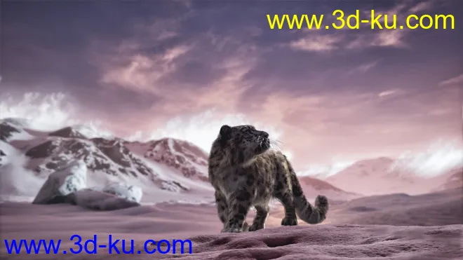 Felidae by AM - Snow Leopard模型的图片4