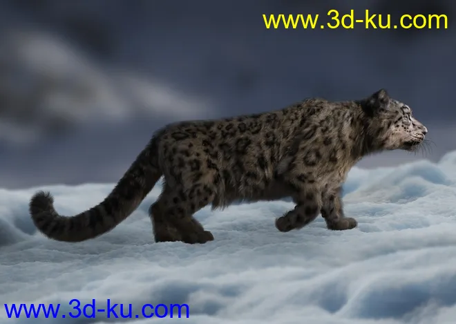 Felidae by AM - Snow Leopard模型的图片6