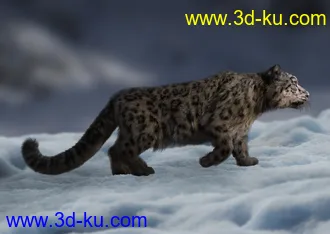 3D打印模型Felidae by AM - Snow Leopard的图片