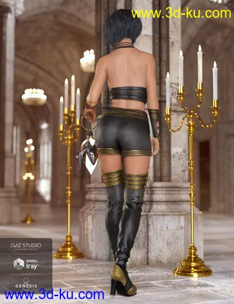 3D打印模型Fire Soul Outfit for Genesis 8 Female(s)的图片