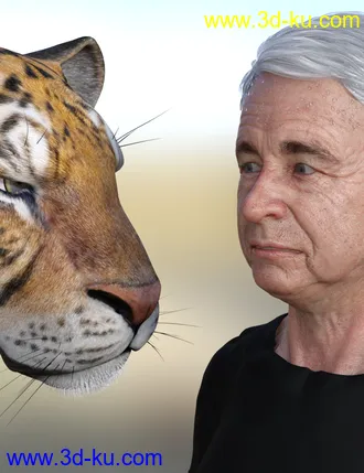 3D打印模型FLUIDOS II for Daz Studio的图片