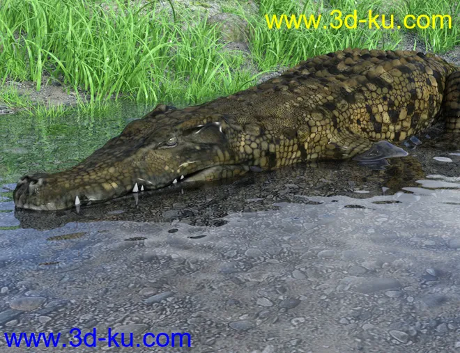 FLUIDOS II for Daz Studio模型的图片4