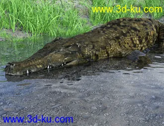 3D打印模型FLUIDOS II for Daz Studio的图片