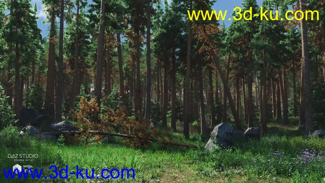 Forest Glade模型的图片4