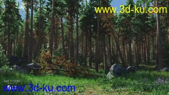 3D打印模型Forest Glade的图片