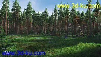 3D打印模型Forest Glade的图片