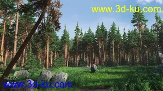 3D打印模型Forest Glade的图片