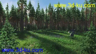 3D打印模型Forest Glade的图片
