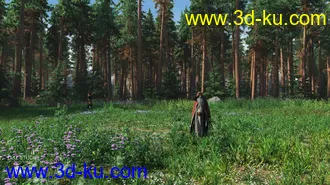 3D打印模型Forest Glade的图片