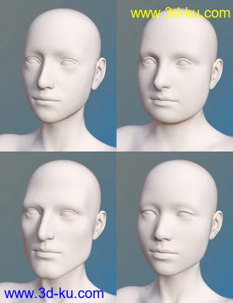 3D打印模型FSL Everyday People Shapes的图片