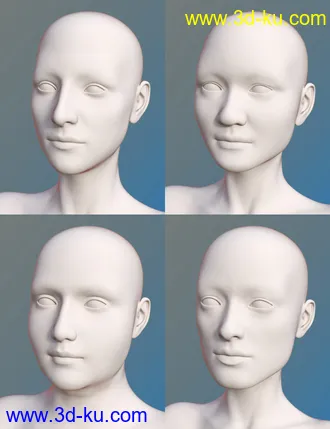 3D打印模型FSL Everyday People Shapes的图片