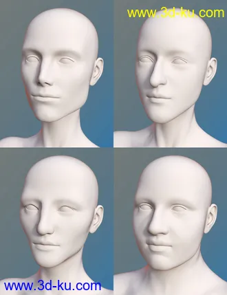 3D打印模型FSL Everyday People Shapes的图片