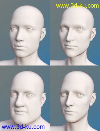 3D打印模型FSL Everyday People Shapes的图片