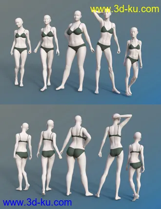 3D打印模型FSL Everyday People Shapes的图片