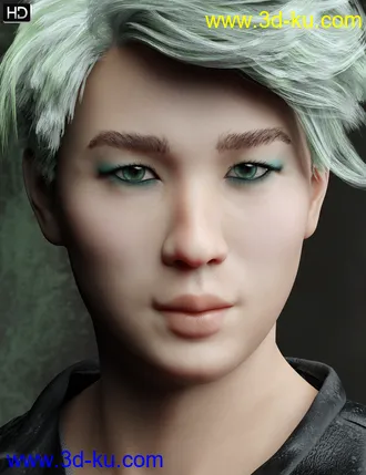 3D打印模型FWSA Yong HD for Lee 8的图片