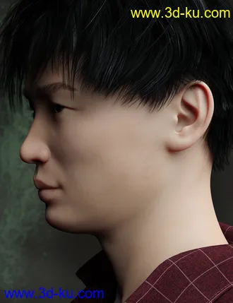 3D打印模型FWSA Yong HD for Lee 8的图片