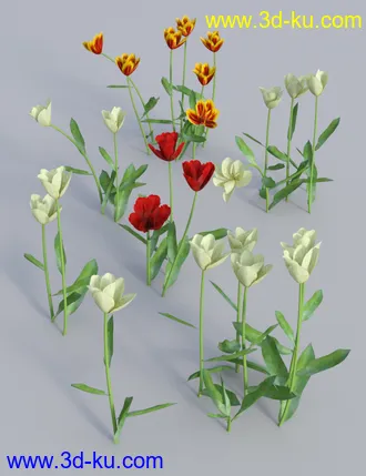 3D打印模型Garden Flowers Vol 2. Tulip Plants的图片