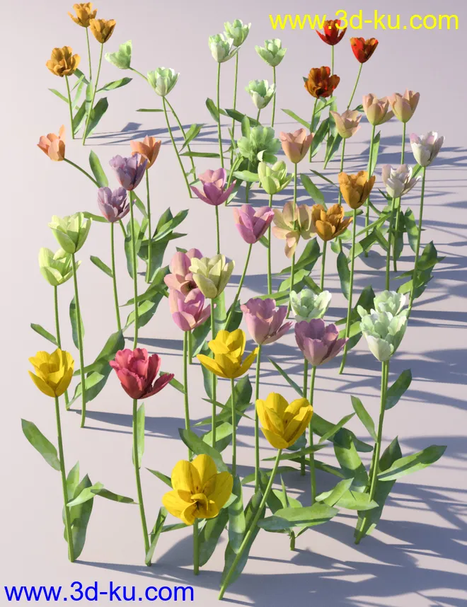 Garden Flowers Vol 2. Tulip Plants模型的图片5