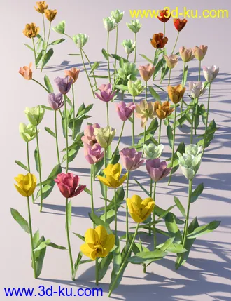 3D打印模型Garden Flowers Vol 2. Tulip Plants的图片