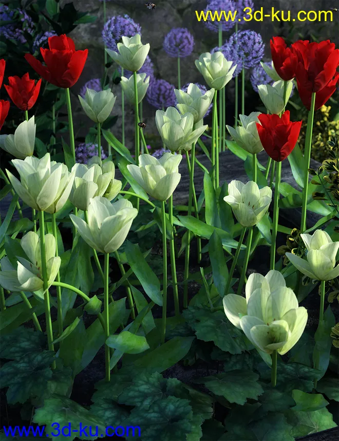 Garden Flowers Vol 2. Tulip Plants模型的图片10