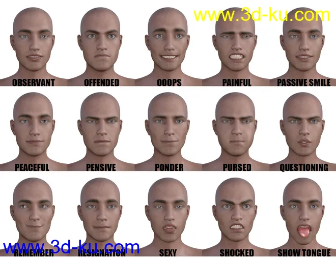 Genesis 8 Male(s) Expressions & Face aniBlocks模型的图片4