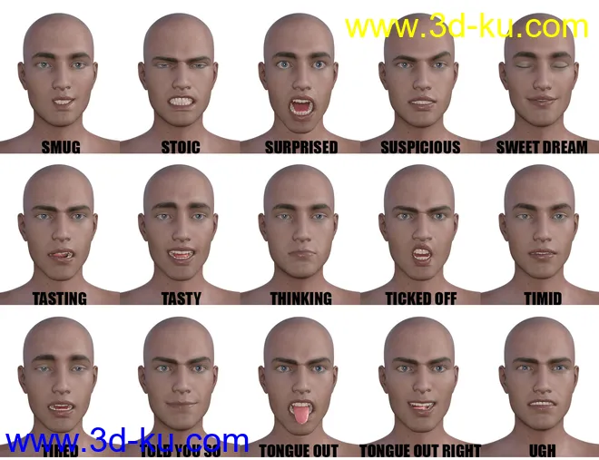 Genesis 8 Male(s) Expressions & Face aniBlocks模型的图片5