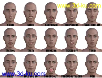 3D打印模型Genesis 8 Male(s) Expressions & Face aniBlocks的图片