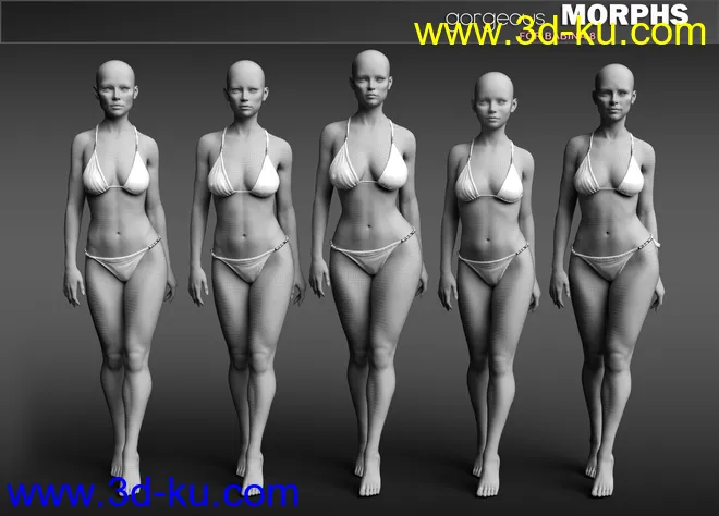 Gorgeous Morphs for Babina 8模型的图片12