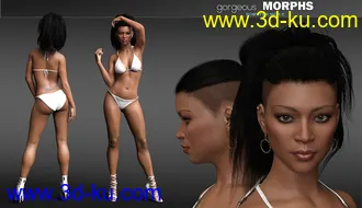 3D打印模型Gorgeous Morphs for Nida 8的图片